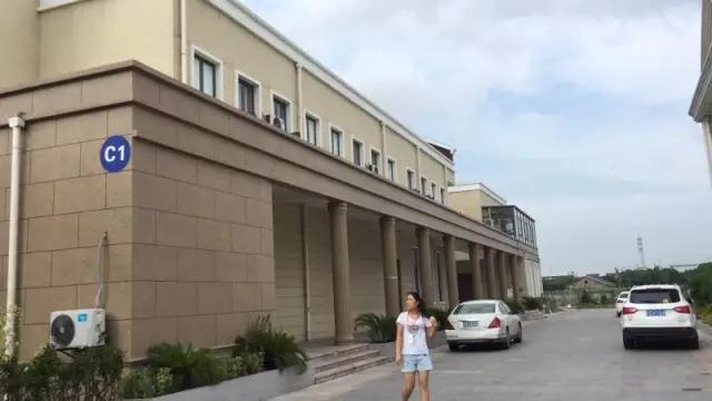 宝临布道,亮点不少