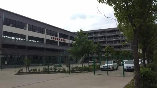 宝临布道,亮点不少