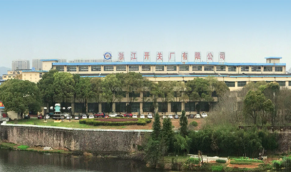 浙江开关厂有限公司.png