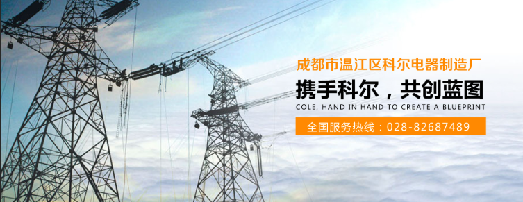 成都市温江区科尔电器制造厂.png
