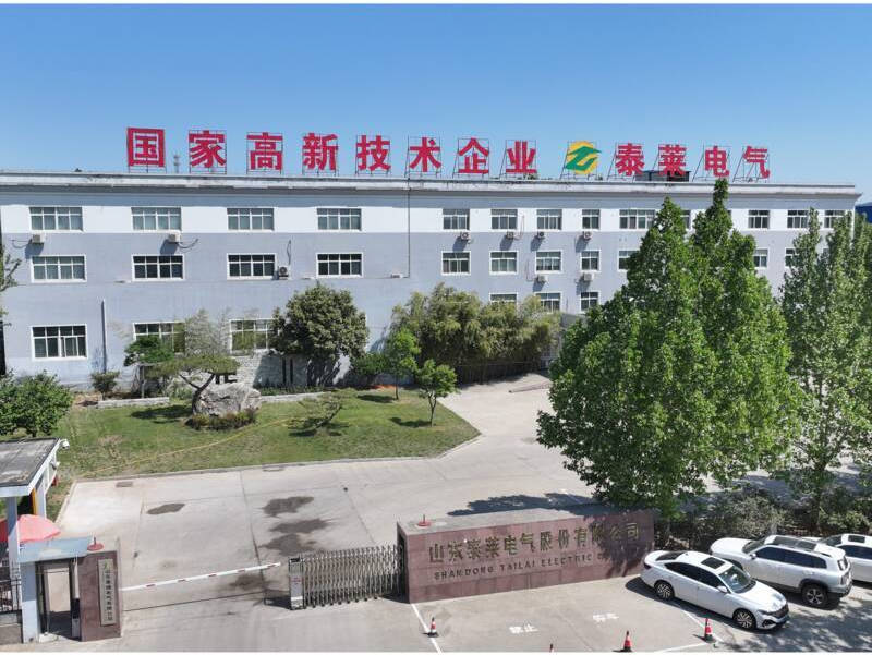 山东泰莱电气股份有限公司.jpg