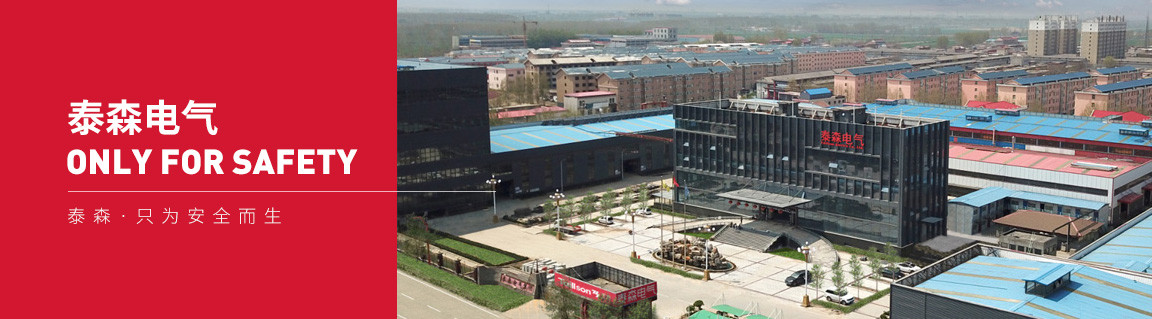 泰森电气有限公司.jpg